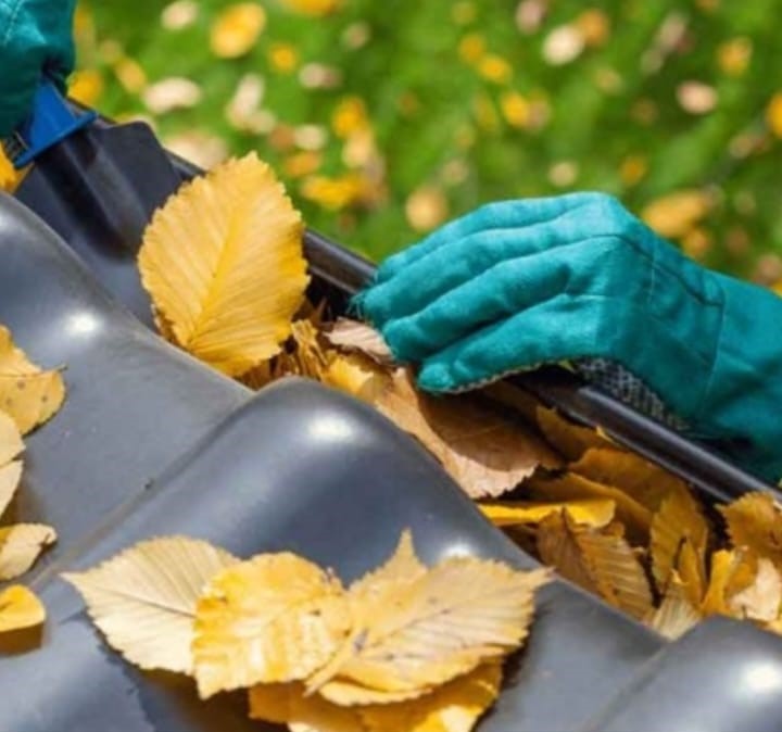 gutter cleaning